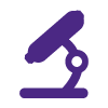 Portfolios-Research_Icon